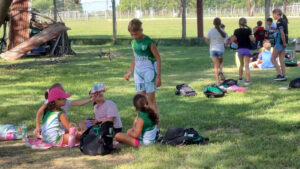 COLONIA ACUARELA: 2026 C.A.BROWN